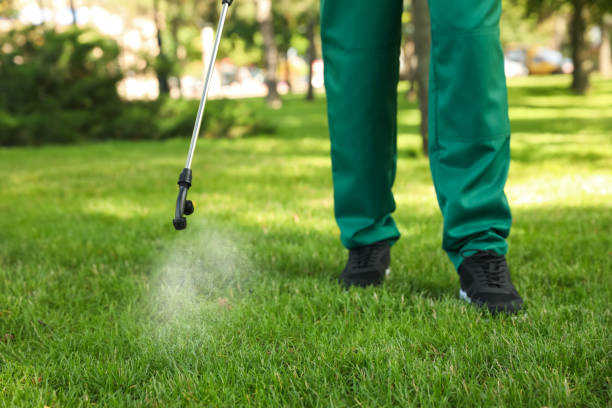Best Local Pest Control Services  in New Roads, LA