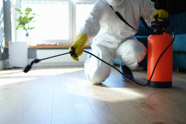 Best Flea Control Services  in New Roads, LA