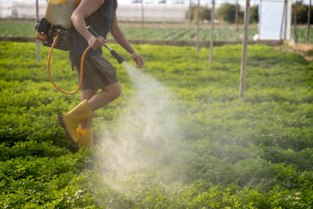 Best Pest Prevention Services  in New Roads, LA
