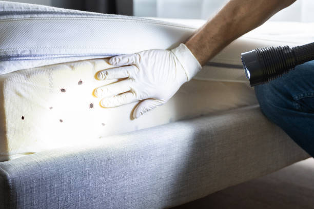 Pest Control Cost in New Roads, LA