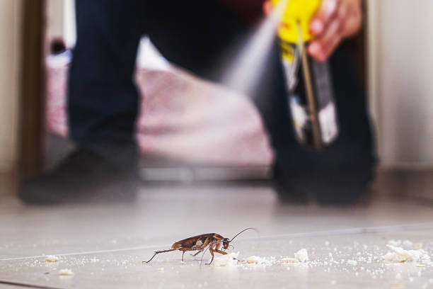 Best Best Pest Control Companies  in New Roads, LA