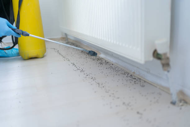 Pest Control for Restaurants in New Roads, LA