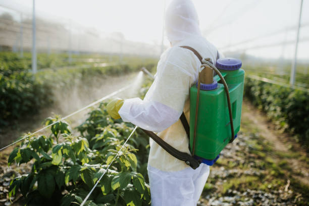 Best Wasp Removal Services  in New Roads, LA